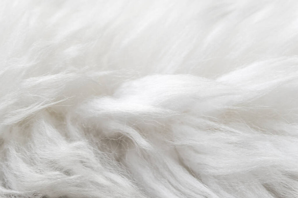 Textura de lana de oveja esponjosa blanca, fondo de lana natural, textura de piel de cerca para diseñadores - Foto, imagen