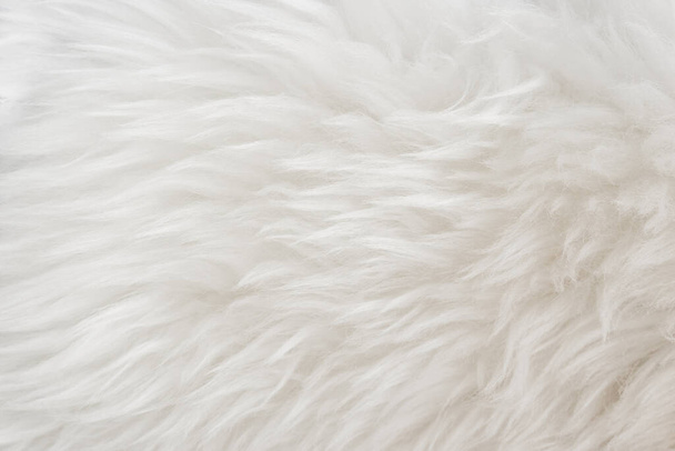 Texture de laine duveteuse blanche, fond de laine naturelle, texture de fourrure en gros plan pour les designers, animal léger à longue fourrure - Photo, image