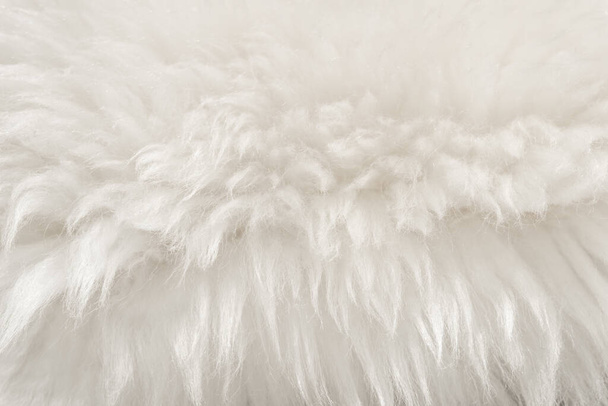 Bílá nadýchaná vlněná textura, přírodní vlněné pozadí, srst textura zblízka pro návrháře, lehké dlouhé kožešinové zvíře - Fotografie, Obrázek
