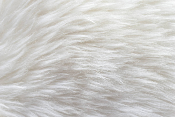 Fondo de textura de lana suave blanca, lana de algodón, lana de oveja natural ligera, textura de cerca de piel esponjosa blanca - Foto, Imagen
