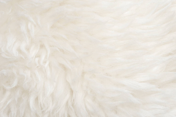 Белая мягкая шерсть текстура фона, бесшовная вата, светлая натуральная овечья шерсть, крупным планом текстура белого пушистого меха, шерсть с бежевым тоном для дизайнера - Фото, изображение