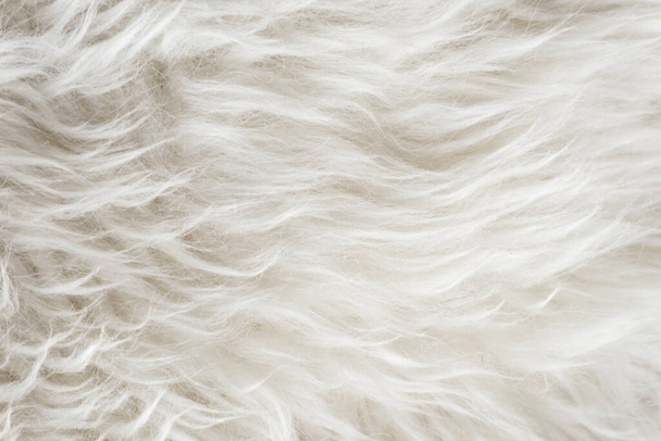 Fondo de textura de lana suave blanca, lana de algodón sin costuras, lana de oveja natural ligera, textura de cerca de piel esponjosa blanca, lana con tono beige para diseñador - Foto, imagen