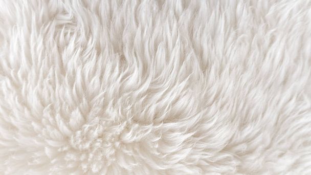 Фон текстуры белой шерсти, вата, белая натуральная овечья шерсть, бежевый пушистый мех, фрагмент белого ковра, крупным планом светлая шерсть с деталями тканого узора, фабричный материал с твистом - Фото, изображение
