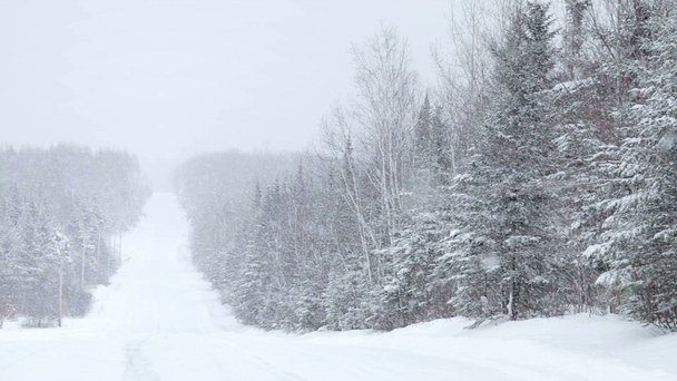 duże płatki śniegu spada podczas zimowego dnia - Materiał filmowy, wideo
