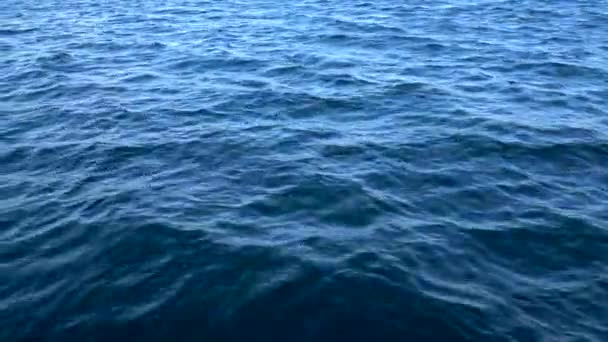 sterke storm op het meer, golven op de kust. Het Baikalmeer is het grootste zoetwatermeer ter wereld..  - Video