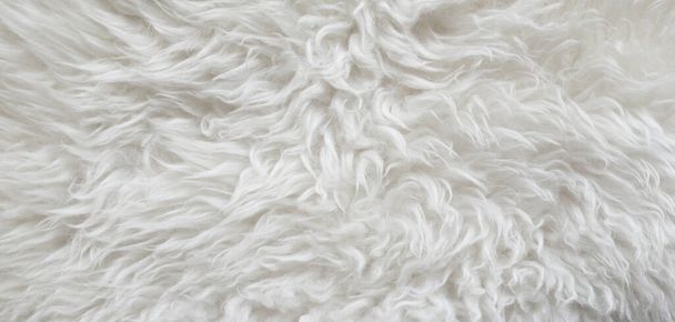 fondo de textura de lana blanca, lana de algodón, vellón blanco, lana de oveja natural ligera, textura de piel esponjosa blanca, abrigo de lana largo pañal blanco, alfombra de color beige, macro de primer plano - Foto, Imagen