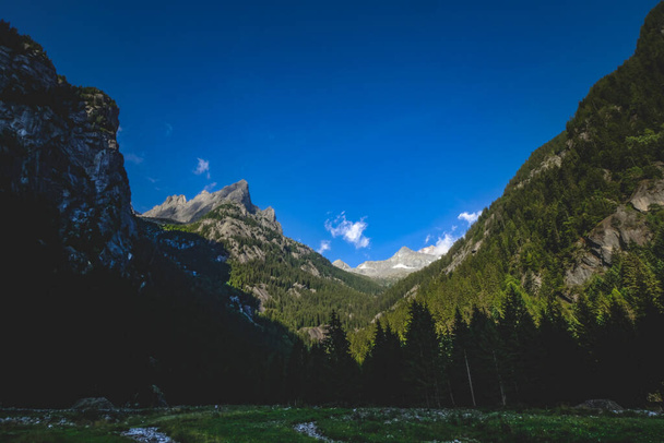 A  shot of a forest with rocky mountains alongside - Foto, imagen