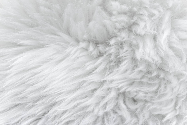 white wool texture background, light natural sheep wool, texture of white fluffy fur, close up of a long wool carpet - Photo, Image