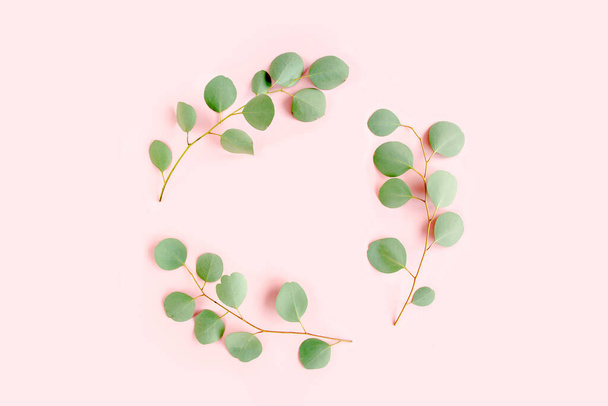 Round wreath frame made of branches eucalyptus populus isolated on pink background. lay flat, top view - Foto, afbeelding