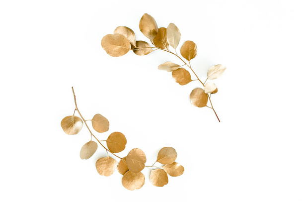 Goud rond frame gemaakt van goud takken eucalyptus en bladeren geïsoleerd op witte achtergrond. plat, bovenaanzicht - Foto, afbeelding