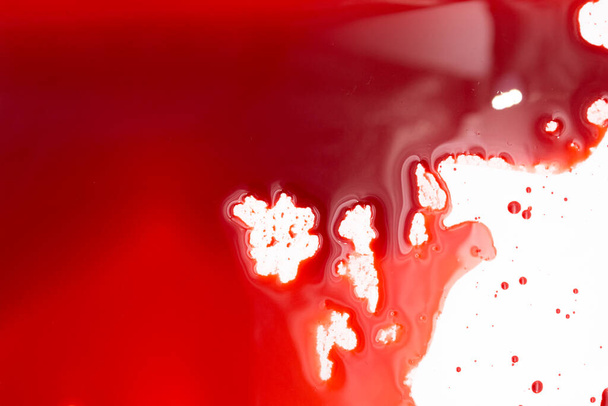 Salpicaduras sangrientas y gotas sobre un fondo blanco. Goteo y siguiente sangre roja (pintura) - Foto, Imagen