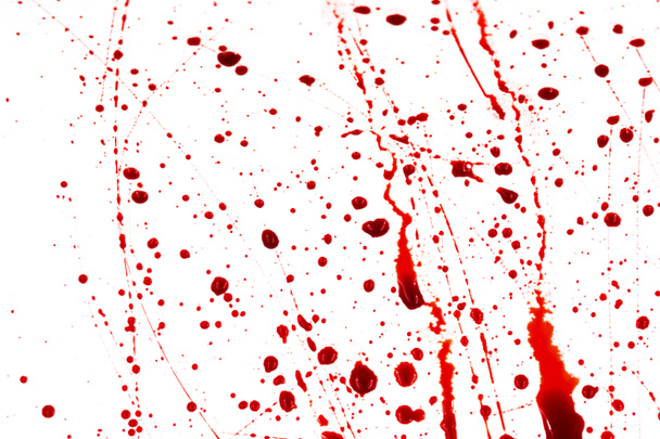 Bloederige spatten en druppels op een witte achtergrond. Druipend en volgend rood bloed (verf) - Foto, afbeelding