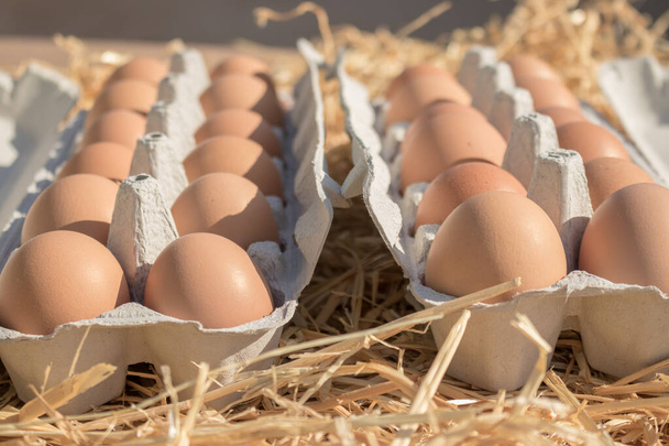 Biologische eieren van kippen met vrije uitloop, geplaatst in een rieten mand en eierdoppen - Foto, afbeelding