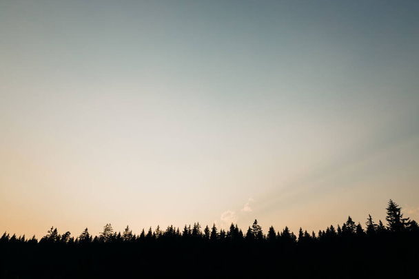 Hermosa puesta de sol sobre el bosque de pinos de montaña - Foto, imagen