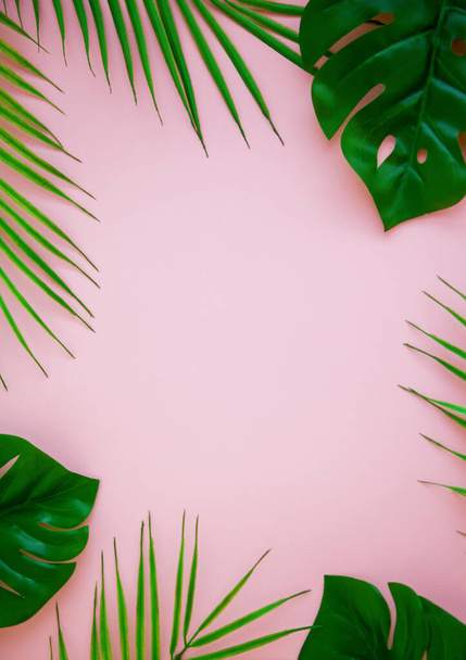 Tropical green leaves on a pink background. Minimal nature summer concept. Top view, copy-space. - Fotoğraf, Görsel