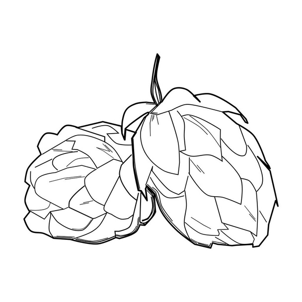 Hop plant, schets stijl vector illustratie geïsoleerd op witte achtergrond. Realistische rijpe groene hop kegels - Vector, afbeelding