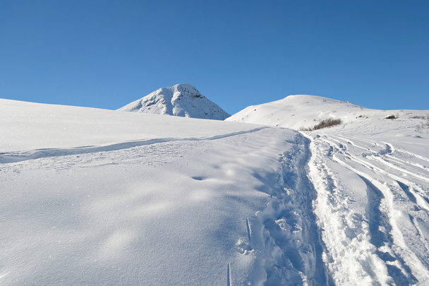Alla scoperta delle Alpi con lo sci alpinismo
 - Foto, immagini