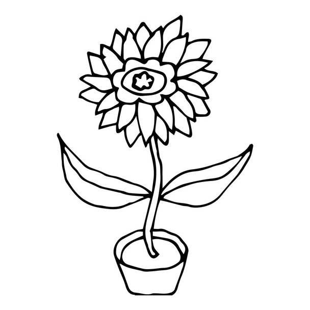 Flor de garabato de dibujos animados con hojas en maceta aisladas sobre fondo blanco. Ilustración vectorial.   - Vector, Imagen