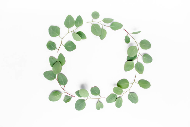 Wreath frame made of branches eucalyptus isolated on white background. lay flat, top view - Foto, imagen