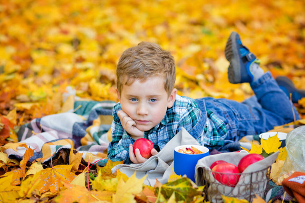 Surullinen poika makaa peiton päällä omena kädessään syksyn puistossa. Täällä on paljon keltaisia vaahteranlehtiä. Piknik luonnossa syksyllä. - Valokuva, kuva