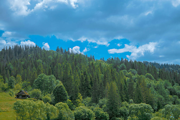 Лесные склоны Карпат с заброшенным домом - Фото, изображение