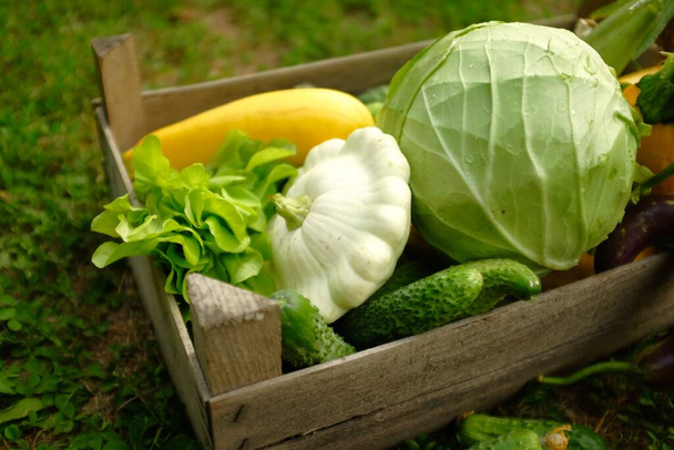 Φρέσκα λαχανικά σε ξύλινο κουτί σε φόντο πράσινου γρασιδιού. έννοια των γεωργικών προϊόντων - Φωτογραφία, εικόνα