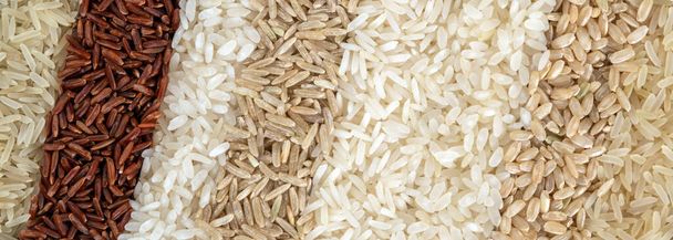 Πανοραμικό πανό με οκτώ διαφορετικές ποικιλίες ρυζιού. Η υφή των κόκκων ρυζιού διαφόρων χρωμάτων. - Φωτογραφία, εικόνα