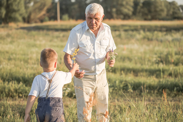 onnellinen isoisä ja pojanpoika kävelemässä kesäniityllä. Söpö poika antaa kukkia hänen vanha isoisä - Valokuva, kuva