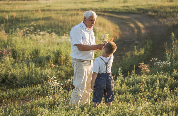 szczęśliwy dziadek i wnuk spacerujący po letniej łące. słodkie chłopiec daje kwiaty jego stary dziadek - Zdjęcie, obraz