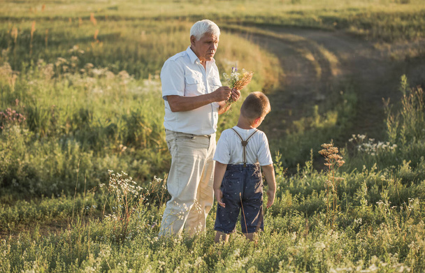 Счастливого дедушки и внука, гуляющих по летнему лугу. Милый мальчик дарит цветы своему старому дедушке - Фото, изображение