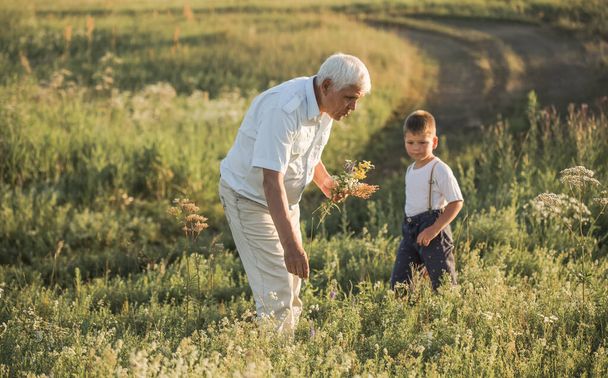 happy grandfather and grandson walking at summer meadow.  Cute boy gives flowers his old grandpa - Photo, Image