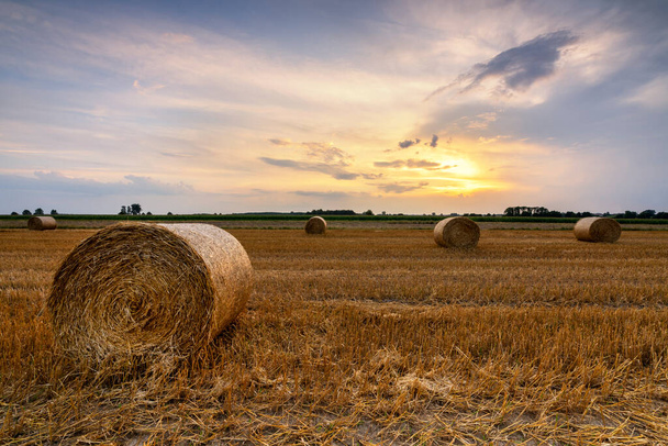 Beautiful summer sunrise over fields with hay bales - Photo, Image