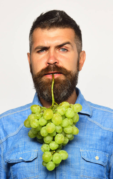 Man with beard holds bunch of green grapes - Photo, image