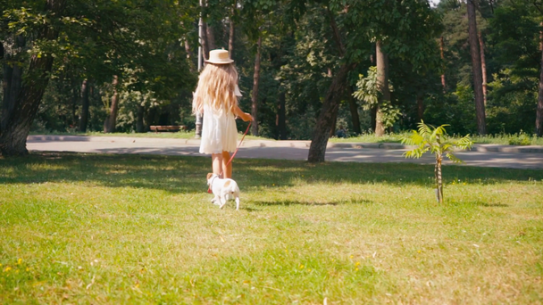 slow motion van kind in jurk wandelen met jack russell terrier buiten - Video