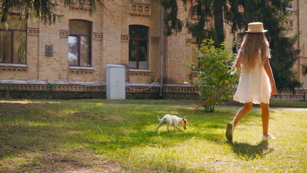 KYIV, UKRAINE - JULY 28, 2020: kid walking with jack russell terrier - Кадры, видео