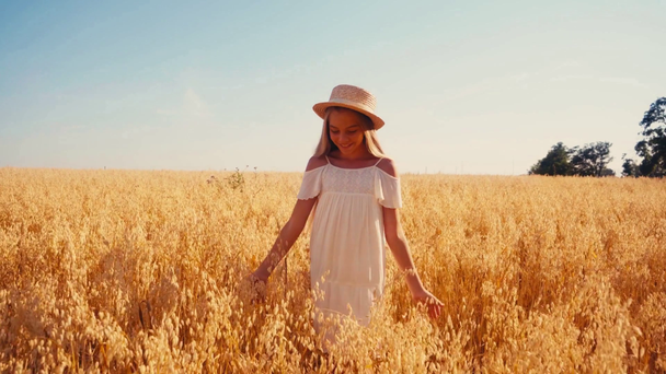κορίτσι σε λευκό φόρεμα και ψάθινο καπέλο περπάτημα στο χωράφι με το σιτάρι  - Πλάνα, βίντεο