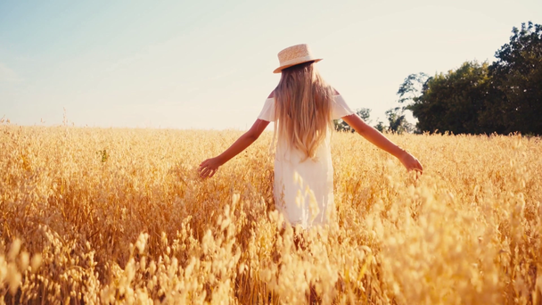 Rückansicht eines Mädchens in weißem Kleid und Strohhut, das im Weizenfeld spaziert  - Filmmaterial, Video
