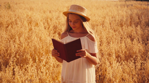 κορίτσι σε λευκό φόρεμα και ψάθινο καπέλο ανάγνωση βιβλίο στον τομέα του σιταριού - Πλάνα, βίντεο