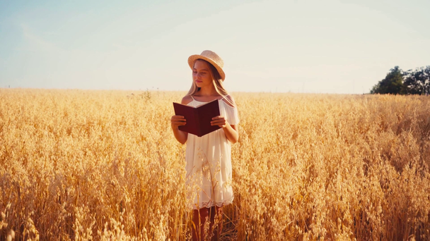 gyerek fehér ruha és szalma kalap olvasás könyv búza mező - Felvétel, videó