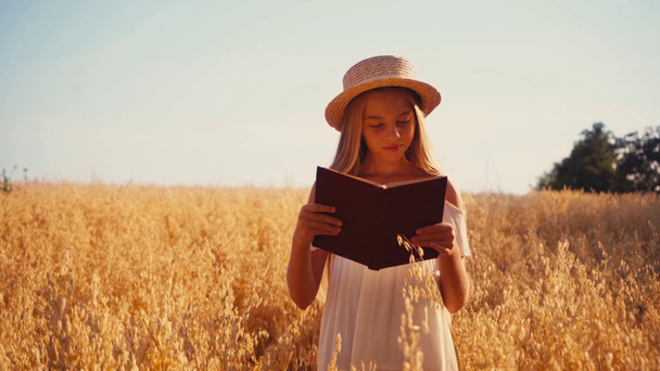 kind in witte jurk en strohoed leesboek in tarweveld - Video