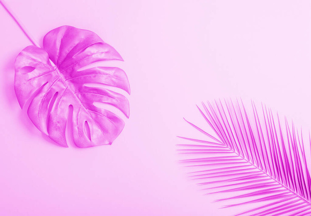 Летняя композиция. Монстры и пальмовых листьев. Розовый фильтр. Летняя концепция. Плоский лежал. - Фото, изображение