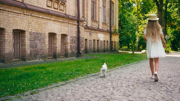 KYIV, UKRAINE - JULY 28, 2020: girl walking with dog on paving stones - Felvétel, videó