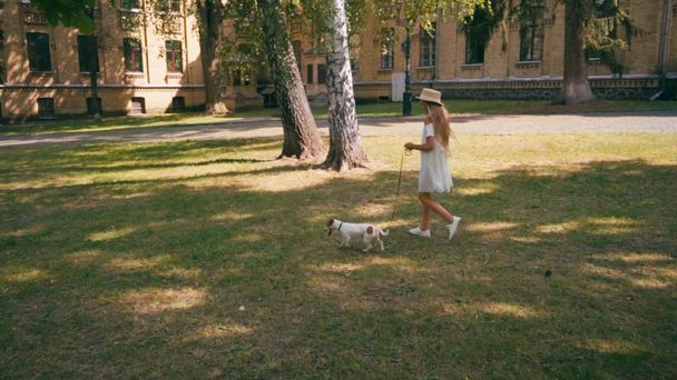 Çimenlerde Jack Russell Terrier 'la yürüyen hasır şapkalı bir çocuğun ağır çekimi. - Video, Çekim