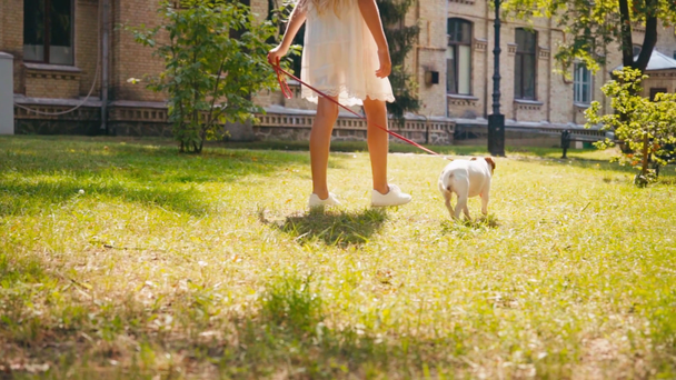 KYIV, UKRAINE - JULY 28, 2020: cropped view of kid and dog walking outside - Materiał filmowy, wideo