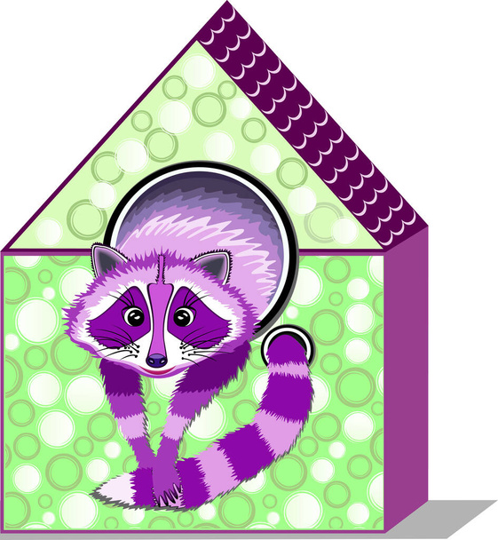 Vector illustration of cheerful violet racoon in house on isolated white background - Vector, Image