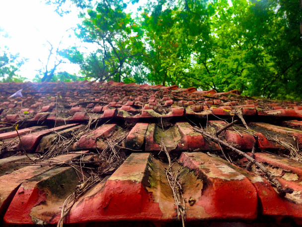 rusty red colored roof tile on the roof - Photo, Image
