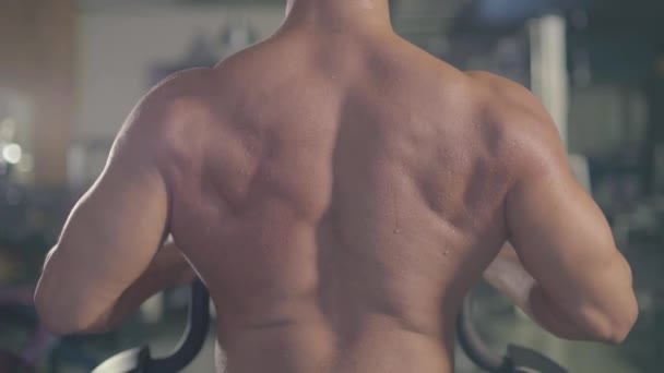 bodybuilder seins nus masculin faisant de l'exercice dans la salle de gym - Séquence, vidéo