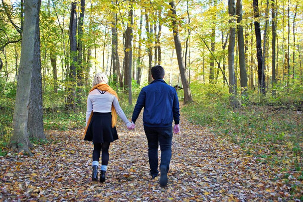 秋に手をつないで森の中を歩く若い夫婦 - 写真・画像