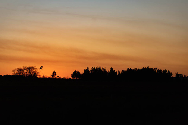 午後遅く。農場地帯での夕暮れ。ブラジル南部のパンパバイオーム。田園風景。リオ・グランデ・ド・スル州内。リオ・グランデ・ド・スル作戦. - 写真・画像