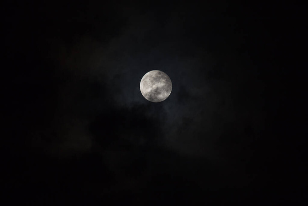 Una grande notte di luna piena. - Foto, immagini